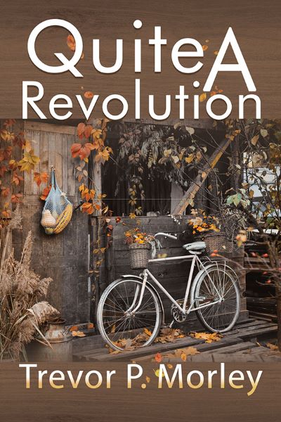 Cover of Quite A Revolution by Trevor P. Morley